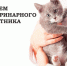 31 августа – День ветеринарного работника. Поздравление главы Юрьянского района И.Ю.Шулаева. - Юрьянский район
